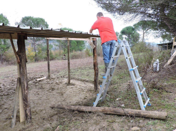 A.A.A. Cercasi volontari per lavori autunnali al Centro di recupero