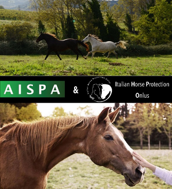 Un altro anno con AISPA