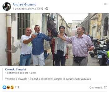 Corsa clandestina condivisa sui social: IHP presenta denuncia