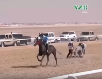 Endurance, dati inquietanti svelano abusi sui cavalli