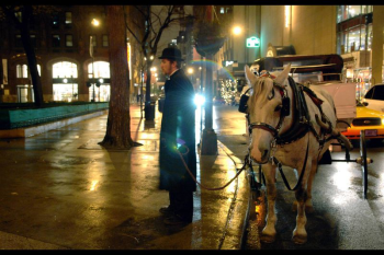 Chicago: stop carrozze trainate da cavalli