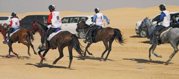 Endurance, arsenico trovato in due cavalli: pesanti sanzioni FEI