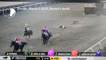 Ippica: Treviso, tre cavalli morti in una settimana