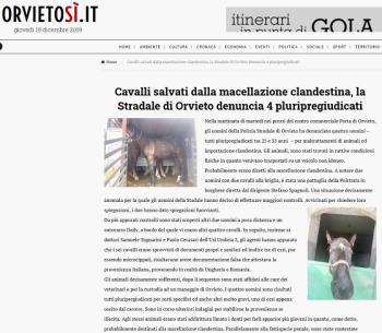Orvieto, cavalli salvati da macellazione clandestina