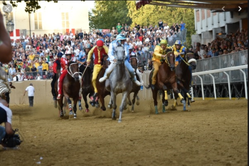 Doping palio di Asti: chieste condanne per 21 imputati