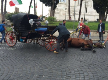 PROTESTIAMO CONTRO IL SERVIZIO DI STRISCIA LA NOTIZIA SULLE BOTTICELLE ROMANE