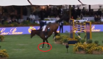 Salto ostacoli, Piazza di Siena 2019: quando labuso si fa elegante