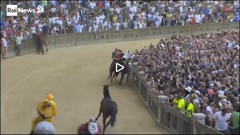Palio di Siena, serio infortunio a un cavallo. Vince il fantino protagonista dellincidente mortale ad Asti nel 2013