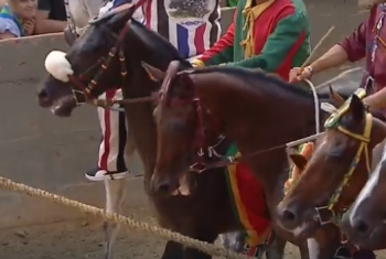Palio di Siena, incivilt di Stato