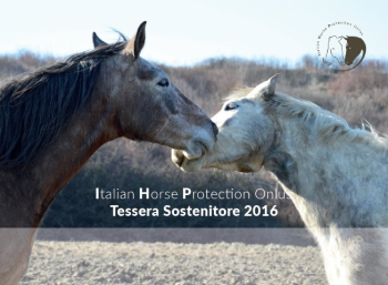 CAMPAGNA SOSTENITORI IHP