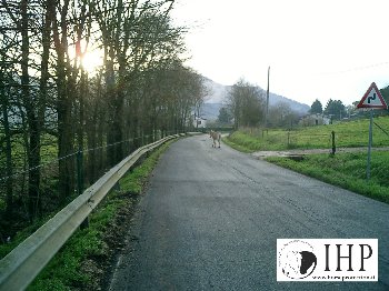 Click per lo zoom