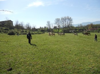 Click per lo zoom