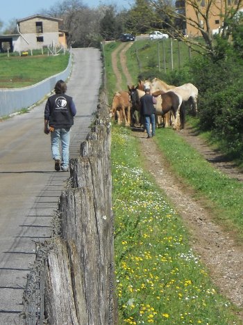 Click per lo zoom