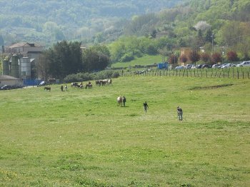 Click per lo zoom