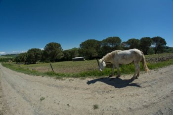 Click per lo zoom