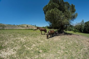 Click per lo zoom
