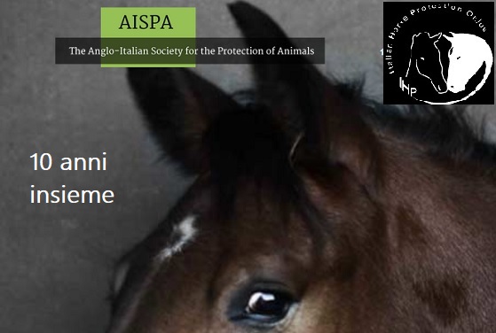 logo AISPA