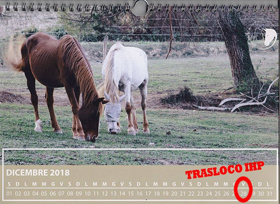 pagina calendario data trasloco