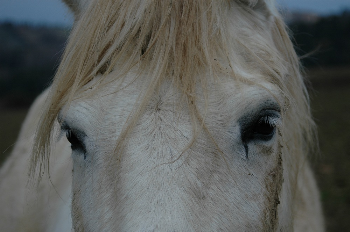 Sostieni IHP, ti raccontiamo perché: 1 – la nostra mission