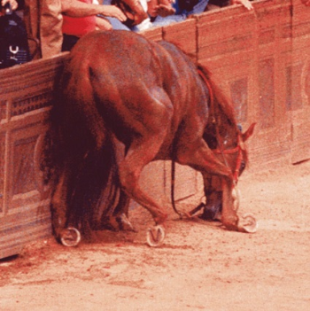 Preoccupanti dichiarazioni del Sottosegretario Martini sul ddl Palii