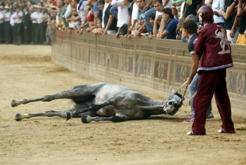 IHP invita l�Assessore Scaletti a farsi promotore di un percorso di civilt� per la Toscana