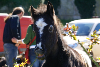 BUON COMPLEANNO, LIBERO!