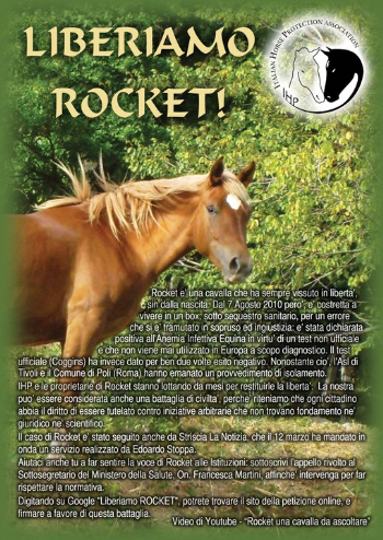 L�Anemia Infettiva Equina, da bufala rischia di tramutarsi in truffa