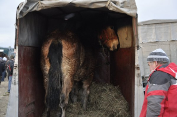 Skaryszew, l’anticamera dell’inferno – il video