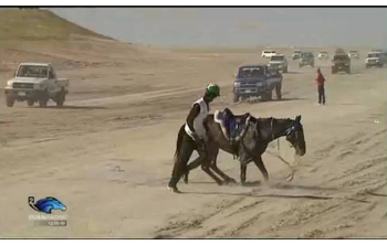 Endurance, ennesima atroce morte di un cavallo