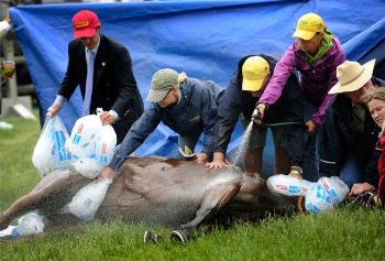 Un�altra morte in ippodromo