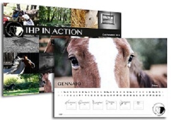 Calendario 2014: IHP in action!