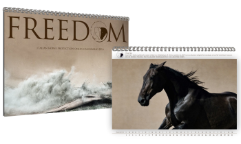 E� disponibile il calendario 2016 di IHP. Prenotalo subito online!