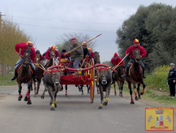 Esposto di IHP contro l’ennesimo incidente in una “corsa storica”