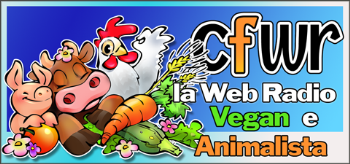 Intervista a Sonny Richichi alla radio