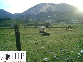 Ancora orrori a Colleferro, mentre il sequestro non va avanti. Appello al Governatore Zingaretti perch� intervenga