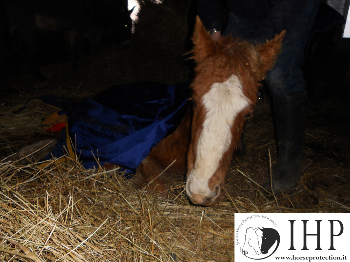 Diario da Colleferro - L�emergenza continua!