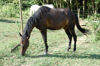 Addio a Dimmi Che S�