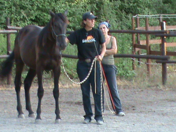 Grande successo per il primo corso di approccio naturale per i nuovi affidatari