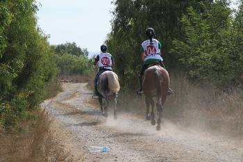 Muore un cavallo dopo una gara di Endurance, IHP chiede un�inchiesta