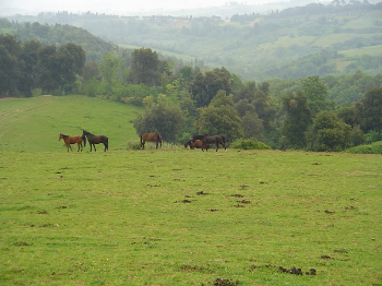 L�IHP trasloca�aiutaci anche tu!