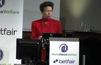Macellazione dei cavalli: commento dell�Italian Horse Protection alle dichiarazioni della principessa Anna d�Inghilterra