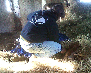 Aggiornamento urgente da Colleferro!