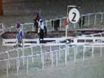 Ippica, altri incidenti mortali a due cavalli: ma nessuno protesta