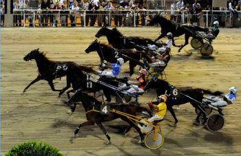 Ippica, ancora un cavallo morto in un tragico incidente