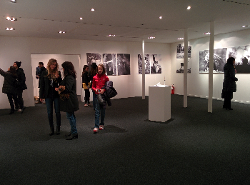 Grande successo dell�Italian Horse Protection a Milano grazie a Progetto Islander