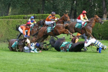 Merano, altri cavalli vittime delle corse a ostacoli in ippodromo