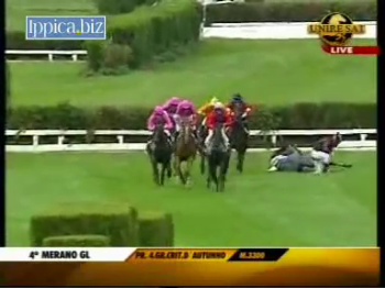 Corse a ostacoli in ippodromo, a Merano più cavalli morti che in tutti i palii