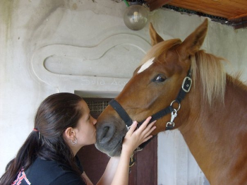 Rocket, storia di un�ingiustizia