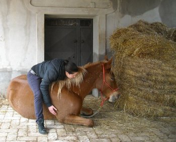 Lettera dalla "mamma" di Rocket