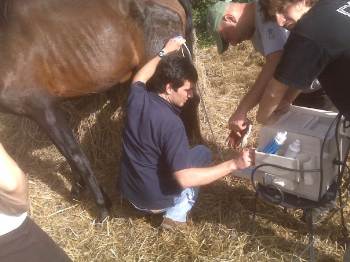 Collaborazione medico-veterinaria con il Dott. Iacopo Secco